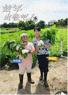 高分爱情片推荐 榜单